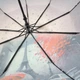 Парасолька жіноча Frei Regen напівавтомат атлас #090732 - зображення 6