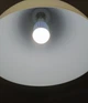 Антимоскітна світлодіодна лампочка Noveen IKN804 LED - зображення 3
