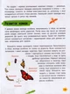 Мінієнциклопедія. Насекомі та павуки/Воронків Константин/9789669827234 - зображення 3