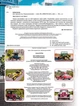 Світ навколо нас. Ретроавтомобілі/Котка Аліна/9786175470503 - изображение 4