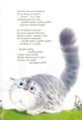Сонячна юшка/Куліш-Гальчинська Віра/9789660160286 - изображение 3