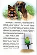 Пригоди Шерлока: Казкові оповідання/Городецька Т./9786177403431 - изображение 2