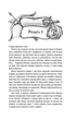 Відьмак. Хрещення вогнем. Книга 5/Сапковський Анджей/978-617-12-1488-0 - изображение 2