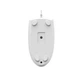 Миша A4Tech N-530S White - зображення 10
