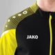 Олимпийка (мастерка) Jako PERFORMANCE черно-желтая S 9322-808 - изображение 7