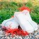 Мешочки сеточки для защиты винограда от насекомых LOSSO 25*35 см, белый (100 шт), ячейка 1 мм - изображение 1