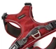 Шлейка для собак смягченная с ручкой Wolters Active Pro Comfort 7 80-95 см Красный (28261) - изображение 2