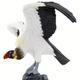 Фігурка Птах Королівський гриф Safari Ltd 100270 - изображение 8