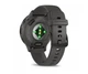Смарт-годинник Garmin Venu 3s Silver Stainless Steel Bezel with Pebble Gray Case and Silicone Band (010-02785-50) - изображение 7