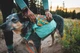 Шлейка-рюкзак для собаки Ruffwear Front Range™ S Зеленый (50601-355S) - изображение 11