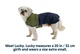 Дождевик для собак Ruffwear Sun Shower™ S Сине-оливковый (05303-433S) - изображение 2