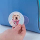 Бейдж на липучці Kite Studio Pets (SP24-3011-2) - зображення 6