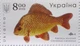 Блок поштових марок НЕПЕРФОРОВАНИЙ «Червона книга України. Прісноводні риби» Укрпошта Україна 2019 - зображення 9