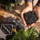 Субстрат Lechuza Blackstonepon 1 літра 8102 Розфасовка - изображение 3