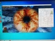 Робоча станція Б-клас HP Z240 Workstation Tower / Intel Xeon E3-1280 v5 (аналог Intel Core i7-6700) (4 (8) ядра по 3.7 - 4.0 GHz) / 16 GB DDR4 / 250 GB SSD + 1000 GB HDD / nVidia Quadro M4000, 8 GB GDDR5, 256-bit / DVD-ROM / DispalyPort б/в - зображення 11