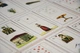 Карти Таро Стародавня Ленорман. Lenormand Old. AGM - зображення 5