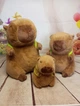 Мягкая игрушка Капибара 25см тренд Тик-Тока. Водосвинка - изображение 5