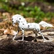 Фігурка Кінь кнабструпер Safari Ltd 152905 - зображення 1