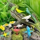 Набор фигурок Экзотические птицы в тубусе Safari Ltd 680404 - изображение 1