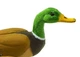 Фигурка Утка Safari Ltd 233229 - изображение 4