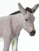 Фігурка Віслюк Safari Ltd 249829 - зображення 5