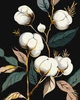 Картина по номерам Белоснежный хлопок с красками металлик 40x50 Идейка (KHO3246) - изображение 1