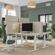 Комп'ютерний стіл з регулюванням висоти IKEA MITTZON 140x80 см березовий шпон/білий (195.286.19) - зображення 5