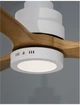Люстра вентилятор NOVA LUCE NATURE 9952314 - зображення 4