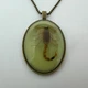 Кулон с скорпионом Scorpio Pendant светиться в темноте - изображение 3