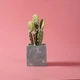 Розовый виниловый водонепроницаемый фотофон ПВХ, 70×140 см, толщина 0,4 мм, Pink - изображение 7