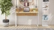 Комп'ютерний стіл Ferrum-decor Скай 75x100x60 білий ДСП Дуб Артізан 16мм (SKA2060) - зображення 7