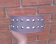 Нашийник для собаки шкіряний з шипами Lockdog, Д 52-62 см, Ш 6 см (ld093_XL) - зображення 6