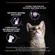 Сухой корм для котят Purina Pro Plan Kitten Healthy start с курицей 1.5 кг (7613036505178) - изображение 6