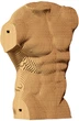 Картонный 3D пазл-конструктор Cartonic 3D Puzzle Torso Male (CARTTORS) - изображение 4