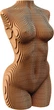 Картонный 3D пазл-конструктор Cartonic 3D Puzzle Female Torso (CARTTORSW) - изображение 1