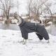 Одяг Pet Fashion Комбінезон «Cold» для собак, сірий XL (1111167358) - зображення 4
