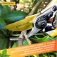 Секатор Gruntek Z-25 (295215025) - изображение 10