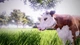 Ключ активации Real Farm для Xbox One/Series - изображение 7