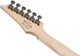 Электрогитара Ibanez RG421S SEM - изображение 8