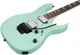 Электрогитара Ibanez RG470DX SFM - изображение 6