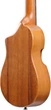 Укулеле тенор Ibanez AUP10N OPN - зображення 6