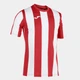 Футболка Joma INTER T-SHIRT S/S красный,белый 2XL-3XL 101287.602 2XL-3XL - изображение 1