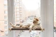 Лежаки Pet Joy Гамак white+beige на окно для кота 1 шт (wwhite1beige) - изображение 1
