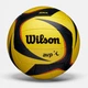 Мяч для пляжного волейбола Wilson AVP ARX Game Volleyball WTH00010XB - изображение 1