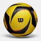 Мяч для пляжного волейбола Wilson AVP ARX Game Volleyball WTH00010XB - изображение 2