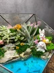 Пасхальный Флорариум с суккулентами и имитацией водоема с кроликами 18 см (15634) - изображение 3