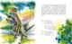 Редьярд Кіплінг. Казки далеких країн (9786170971357) - изображение 5