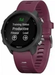Ремінець силіконовий Garmin для Vivoactive 3 / Vivomove HR / Forerunner 645 / Forerunner 245 Berry (753759227340) - зображення 2