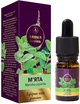 Ефірна олія "М'ята" - Aroma Kraina Premium 10ml (910862-54561) - зображення 1