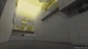 Ключ активации .T.E.S.T: Expected Behaviour для Xbox One/Series S/X - изображение 5